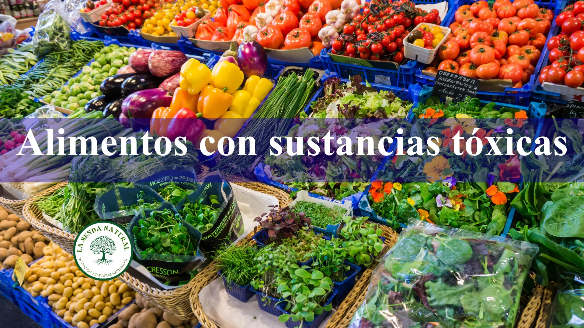 Alimentos con sustancias tóxicas