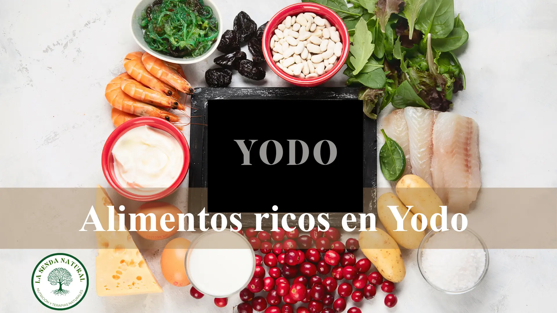 Alimentos ricos en Yodo