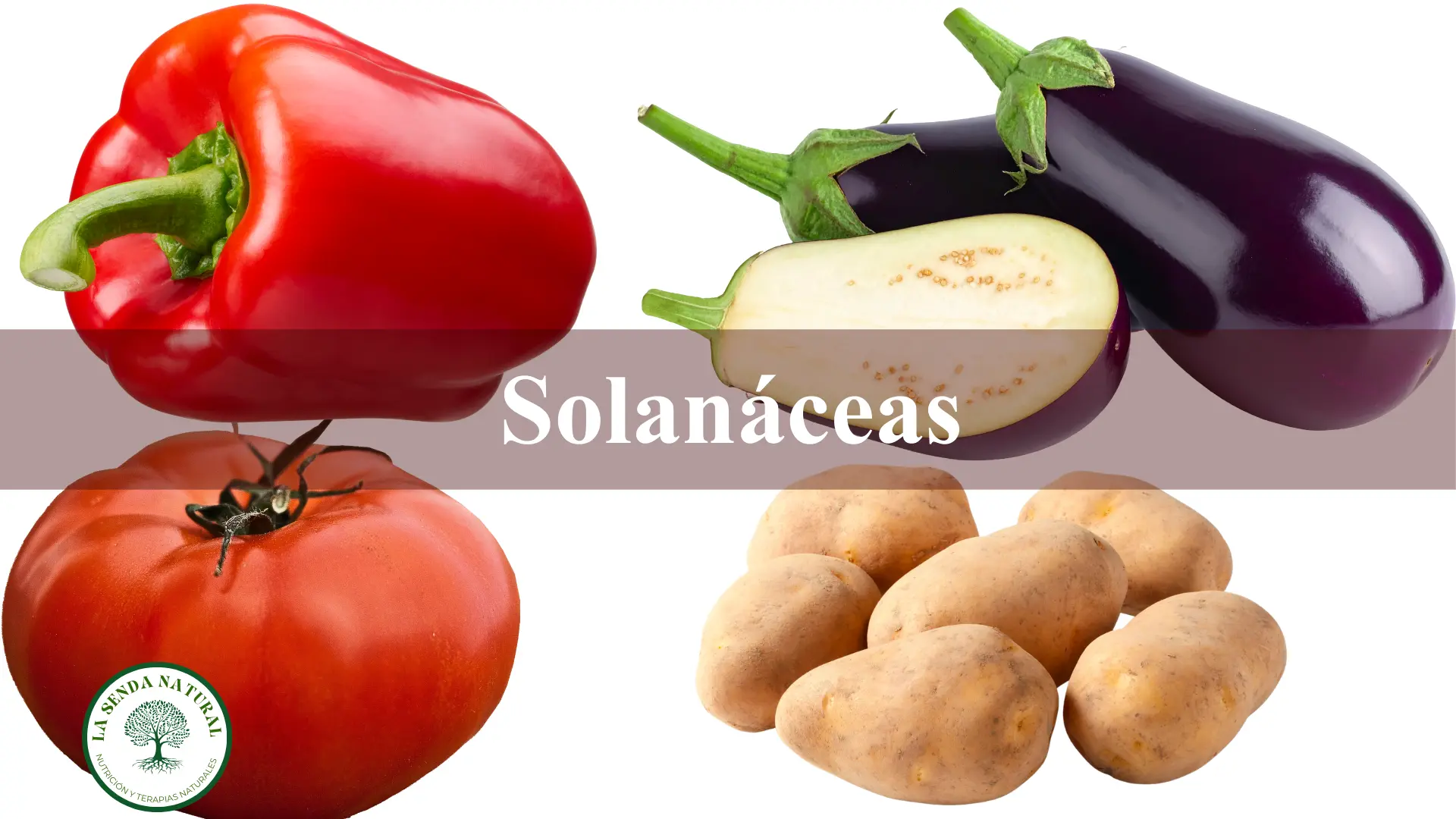 Solanáceas