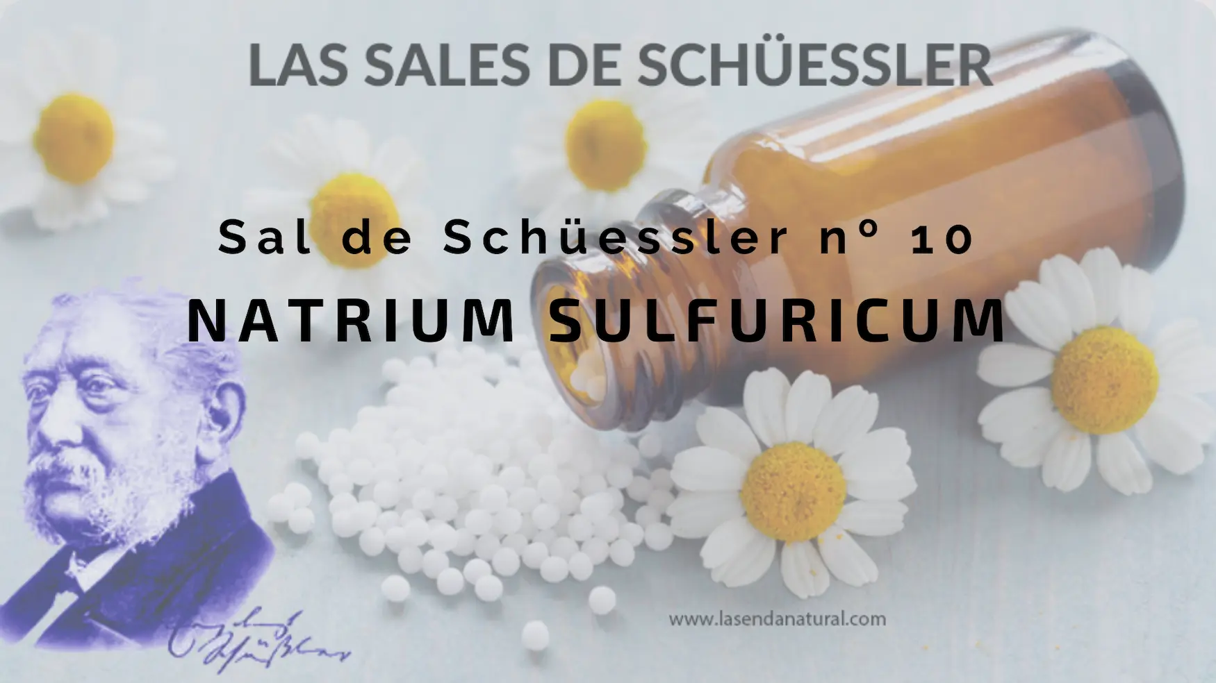 SALES DE SCHUESSLER