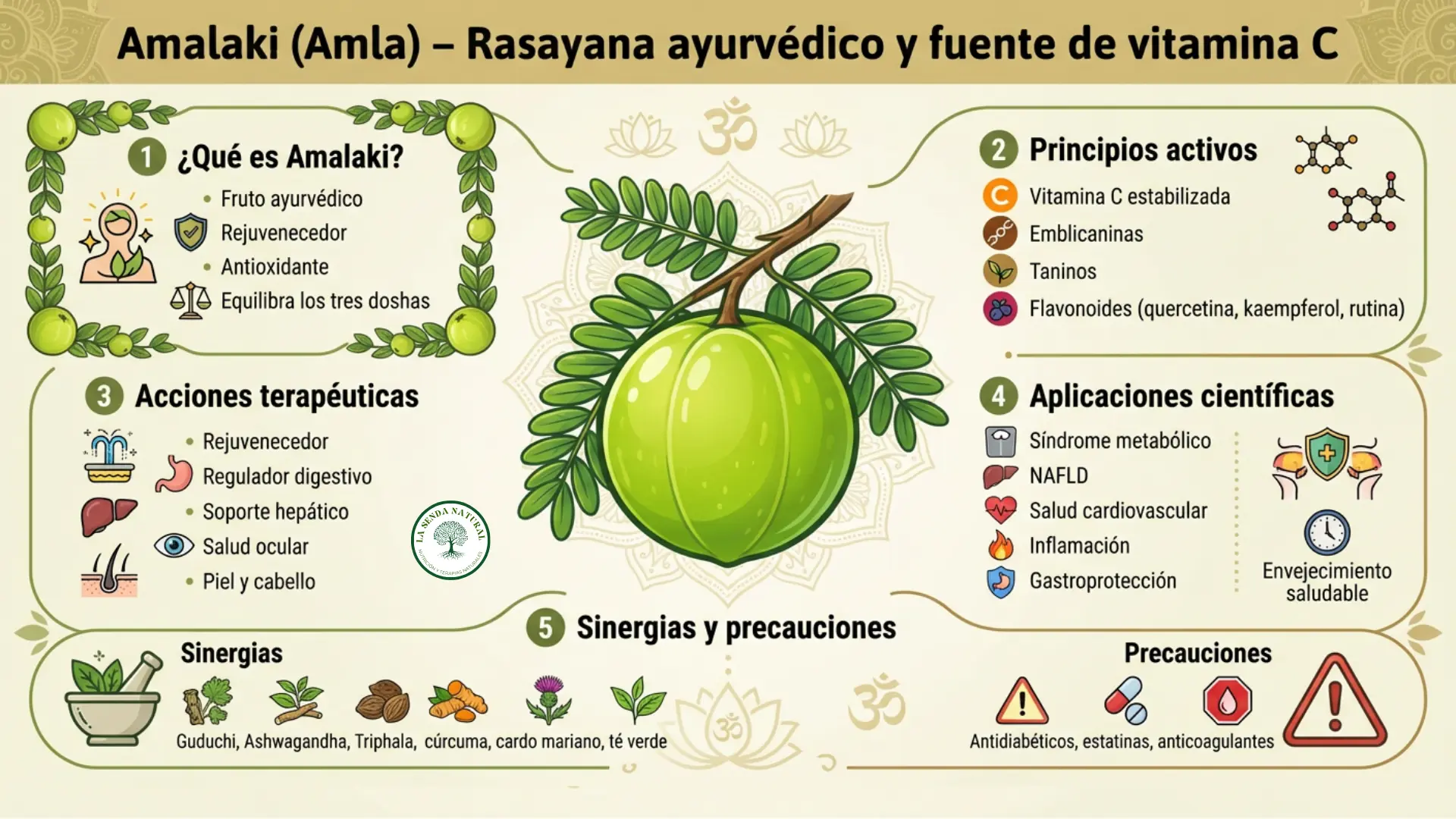 Amalaki-infografía