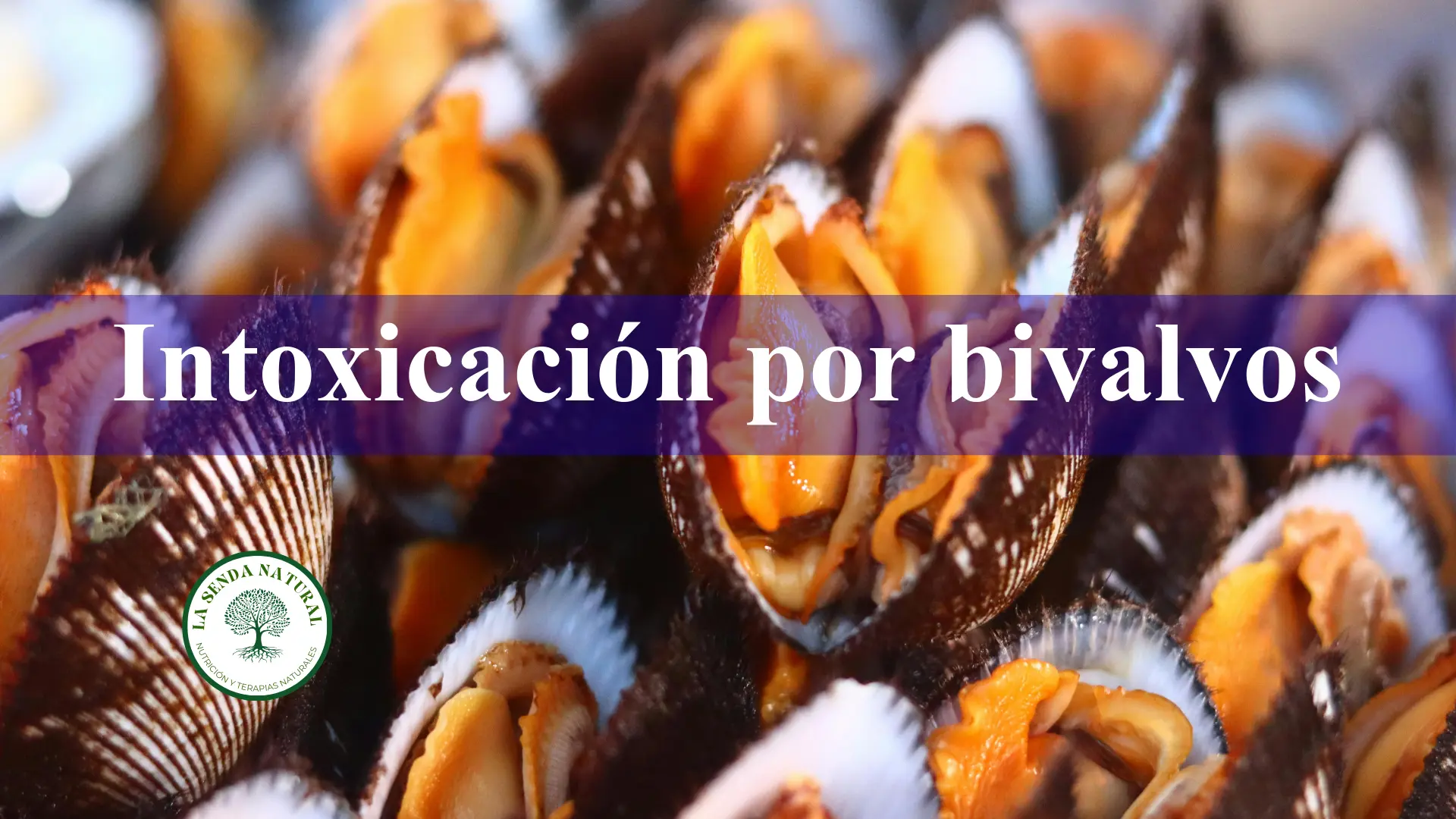 Intoxicación por bivalvos