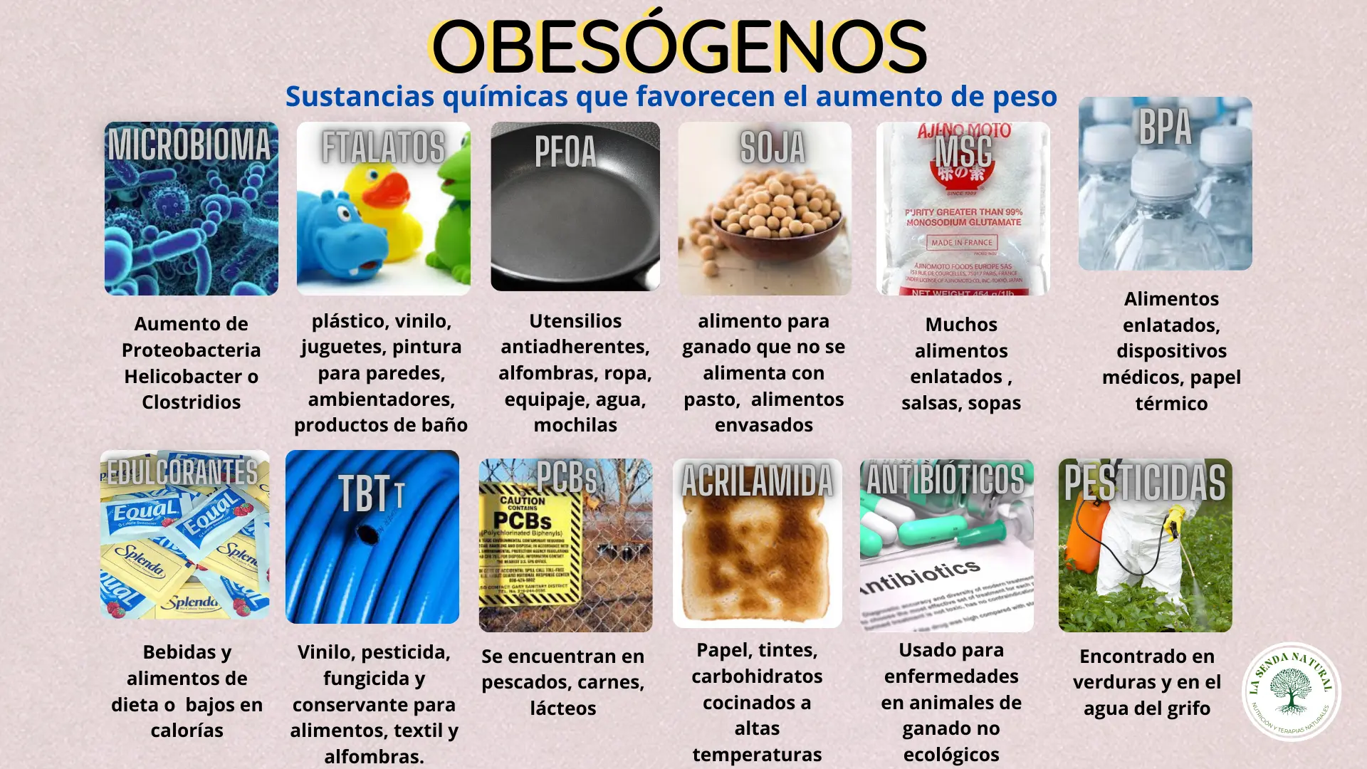 TIPOS DE OBESOGENOS MAS COMUNES