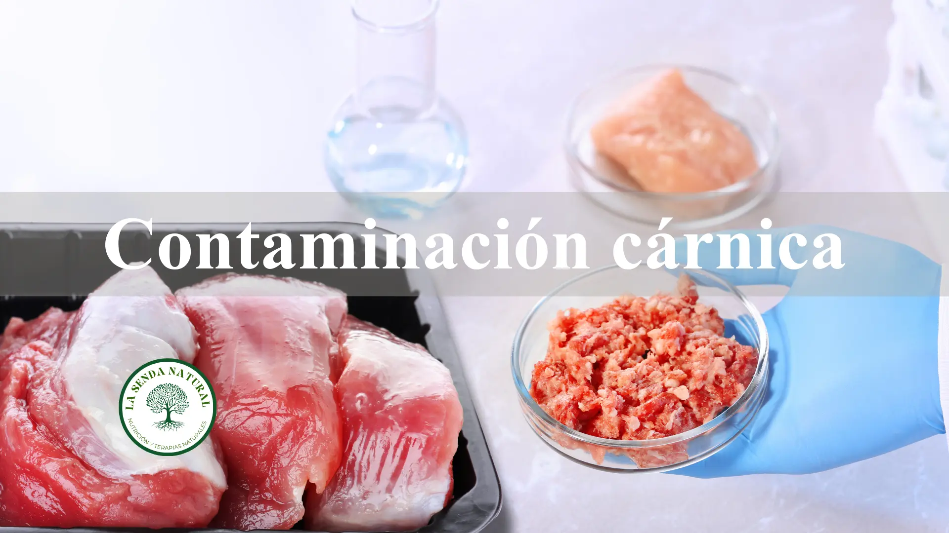 Contminación cárnica