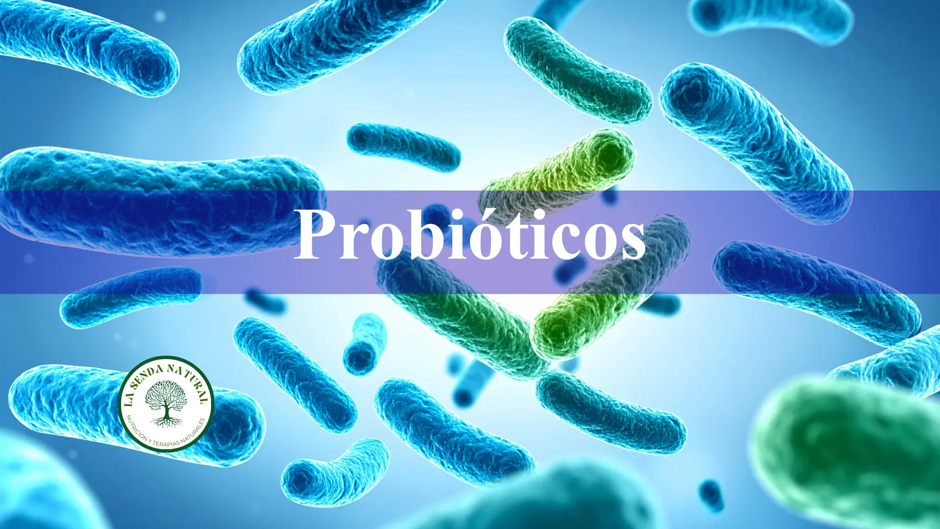 Probióticos