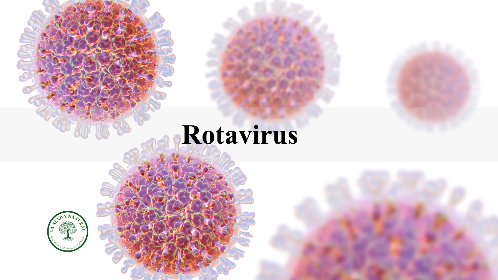 Rotavirus