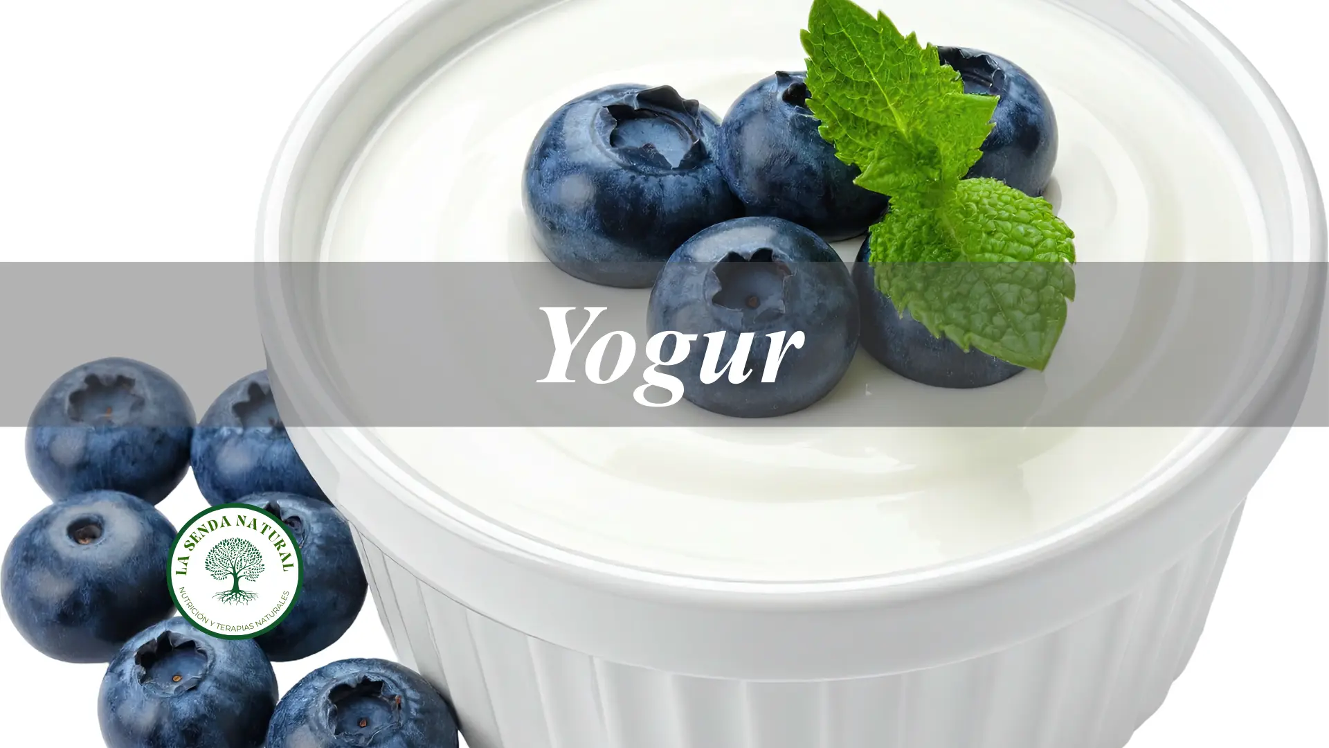 Yogur