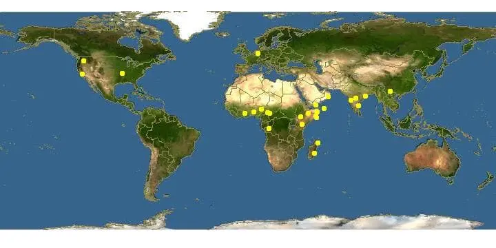 Distribución geográfica de la boswellia serrata