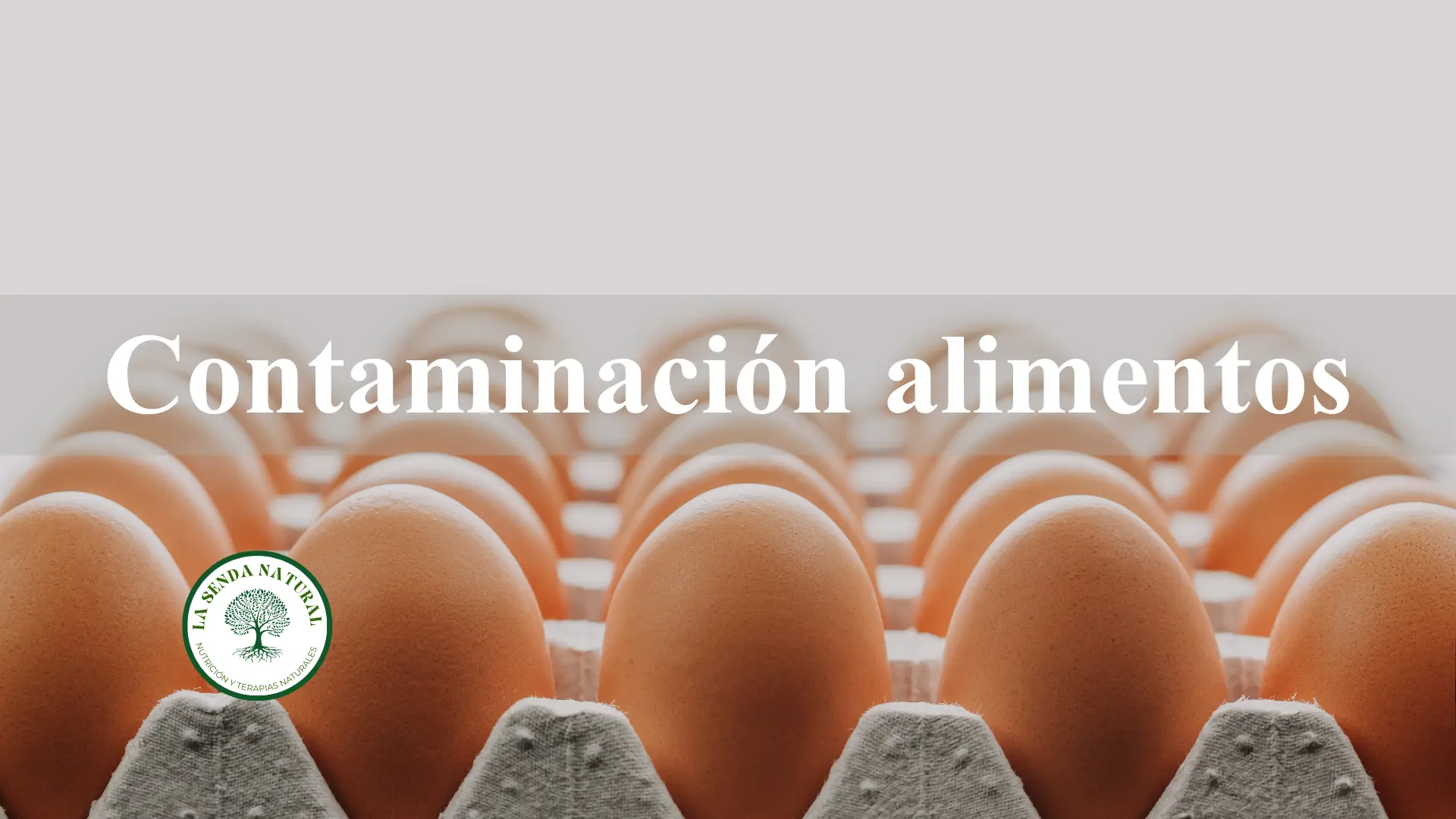 contaminación en los alimentos