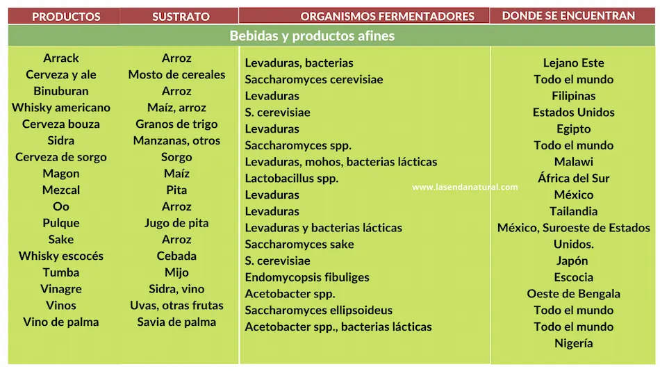 microorganismos y alimentos