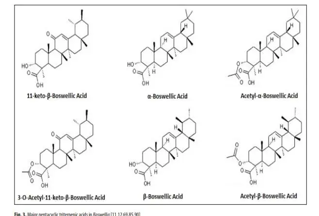 principios activos de la Boswellia