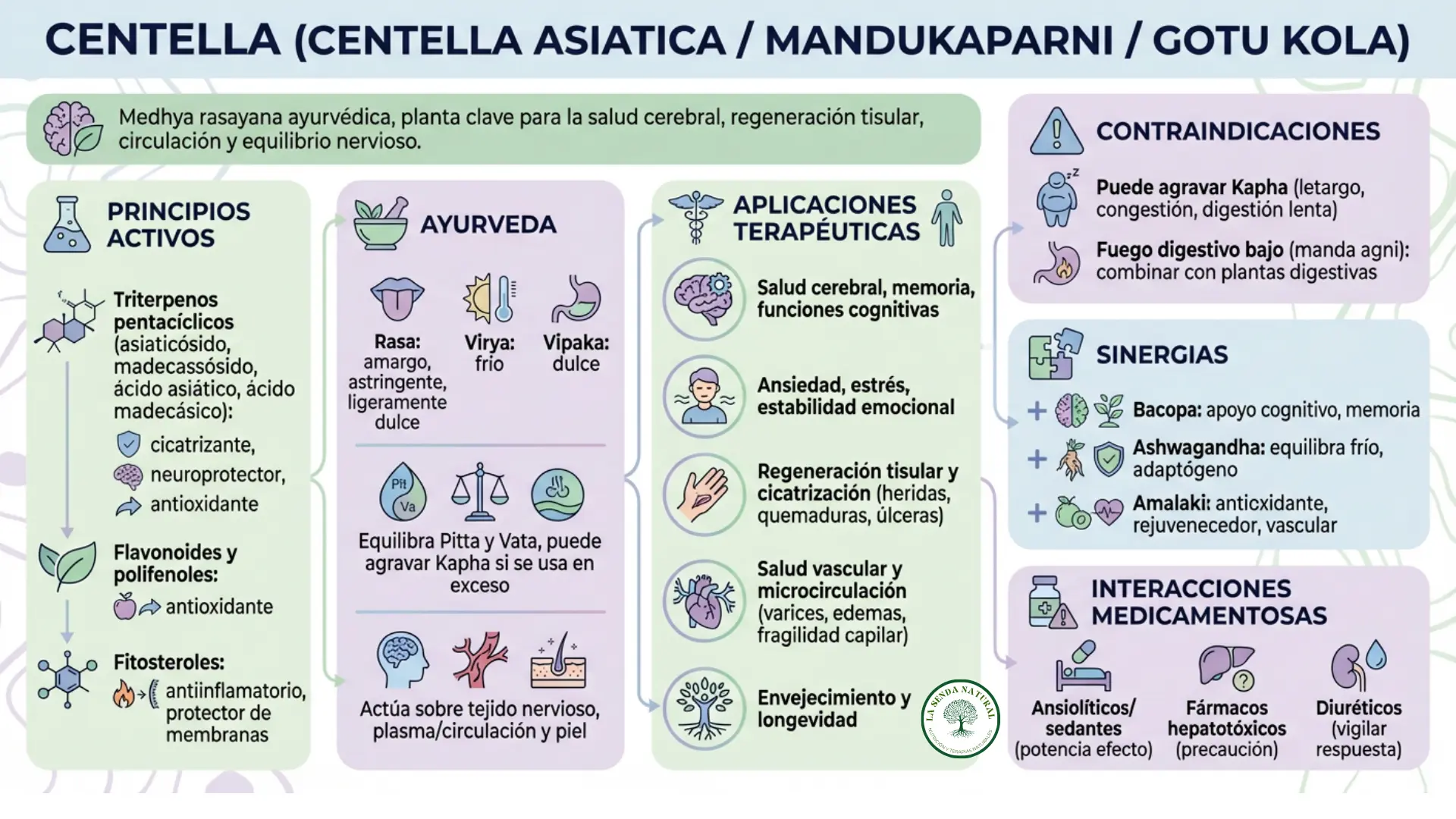 Centella asiática-Gotu kola