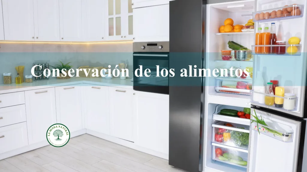 Conservación de los alimentos