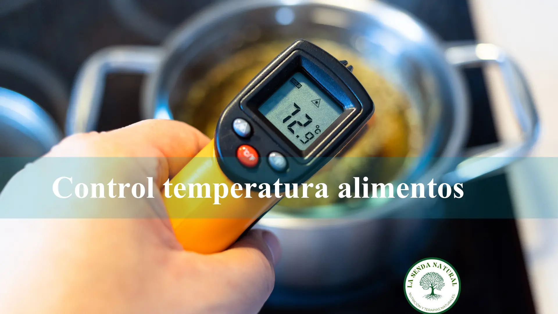 Control temperatura de los alimentos