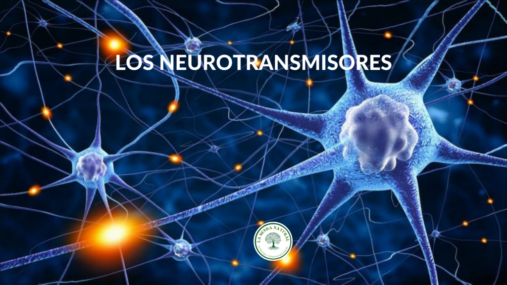 QUE SON LOS NEUROTRANSMISORES