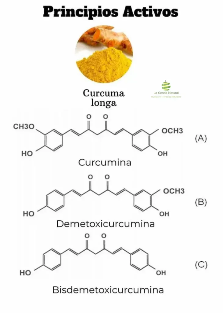 Principios activos de la cúrcuma