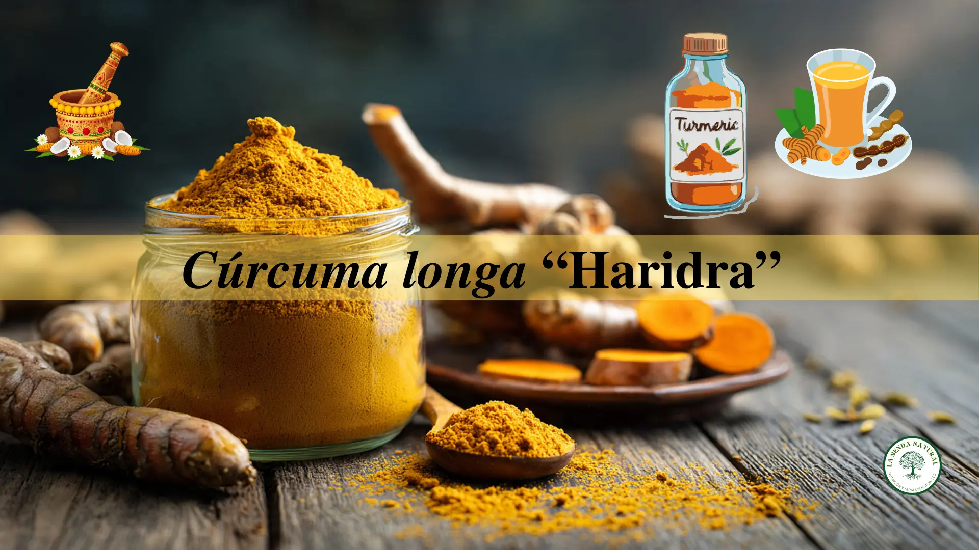Qué es la cúrcuma longa