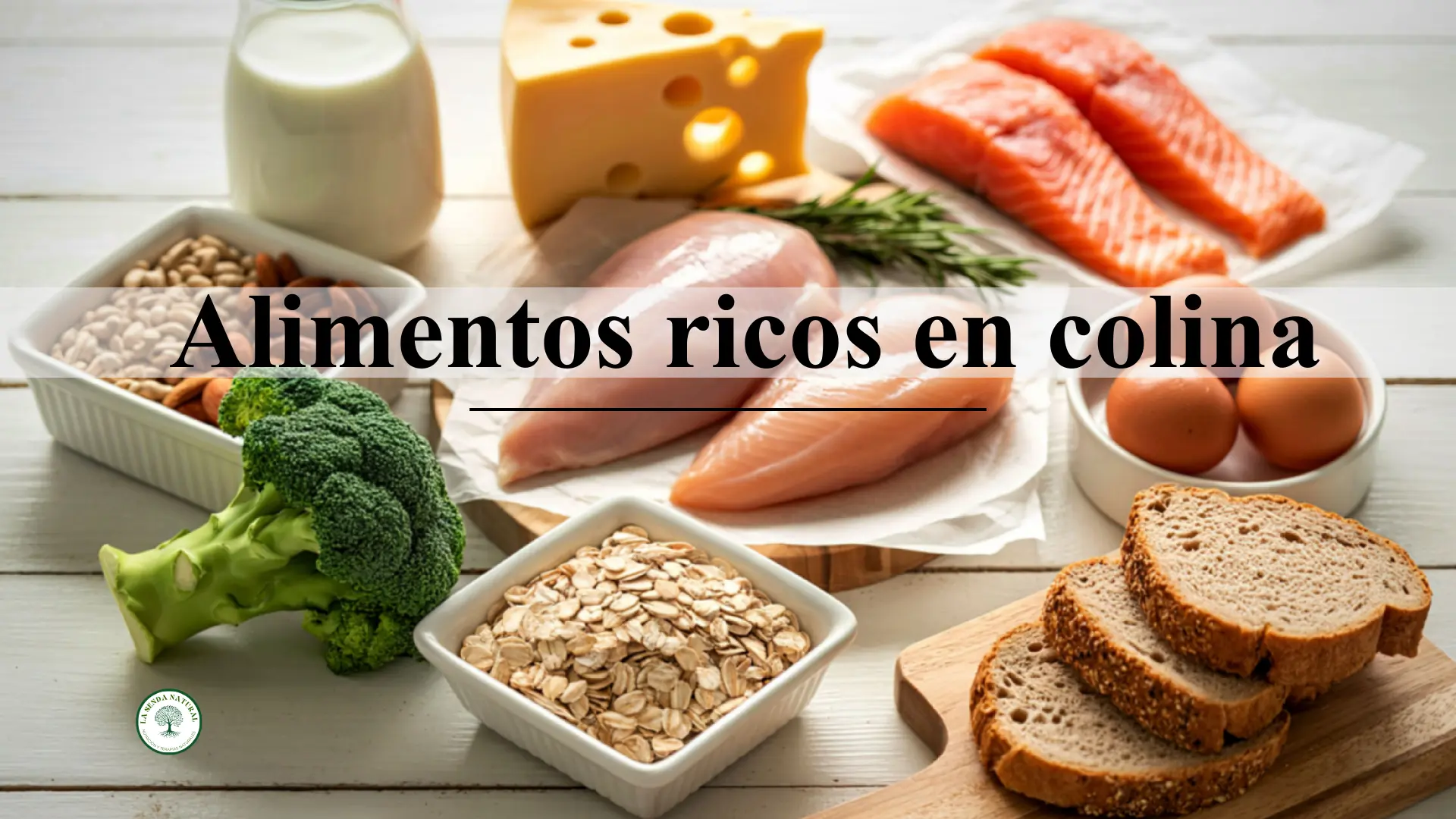 Alimentos ricos en colina