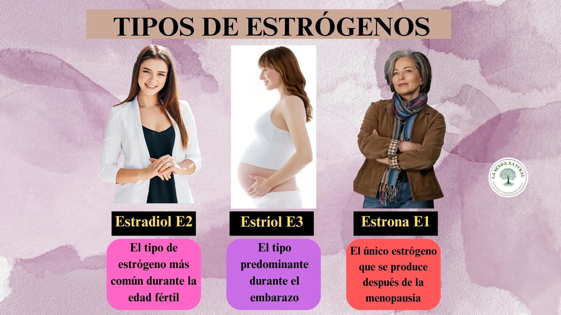Tipos de estrógenos