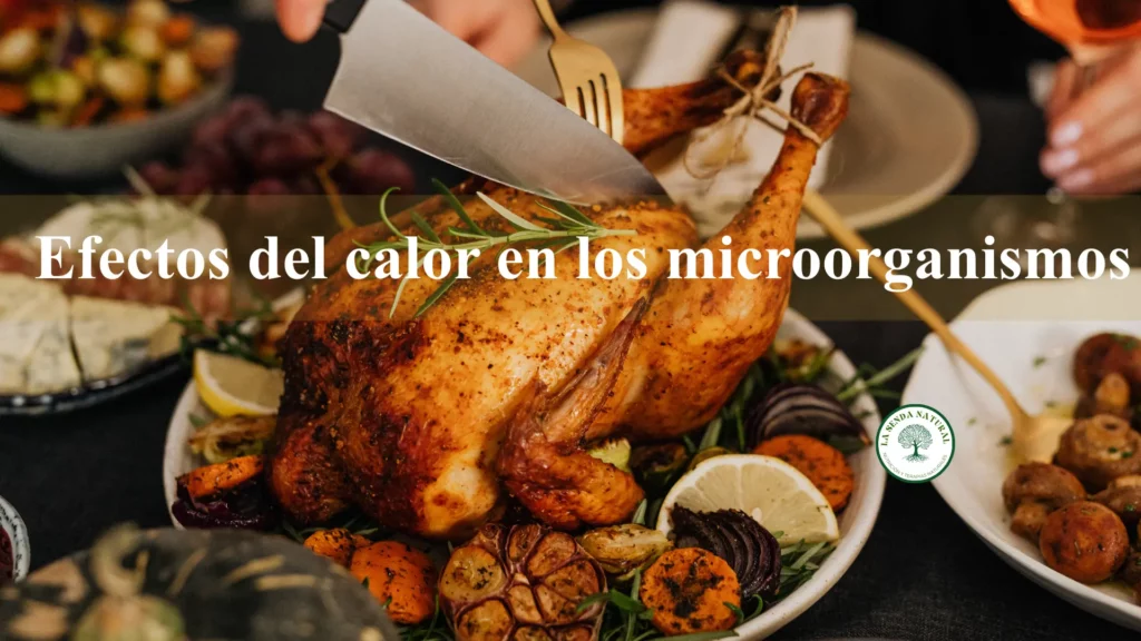Efectos del calor en los microorganismos