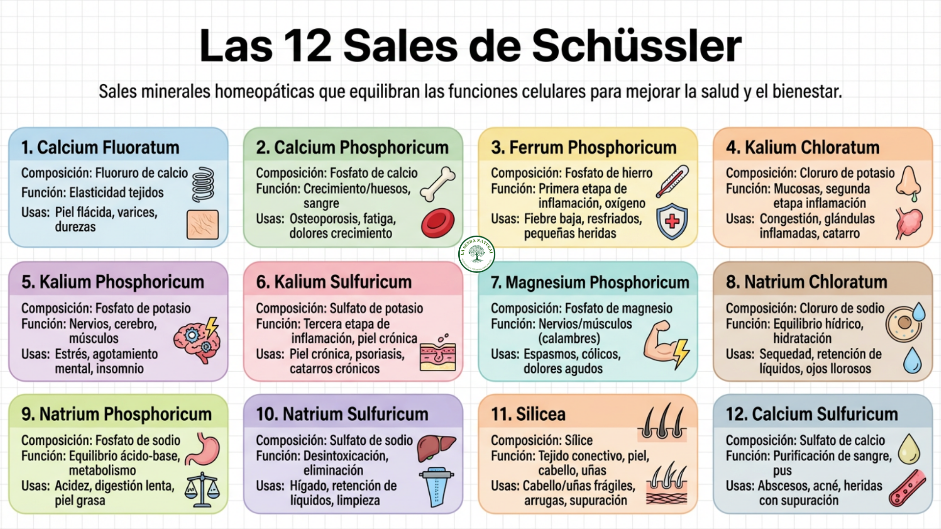 Las 12 sales de Schuessler