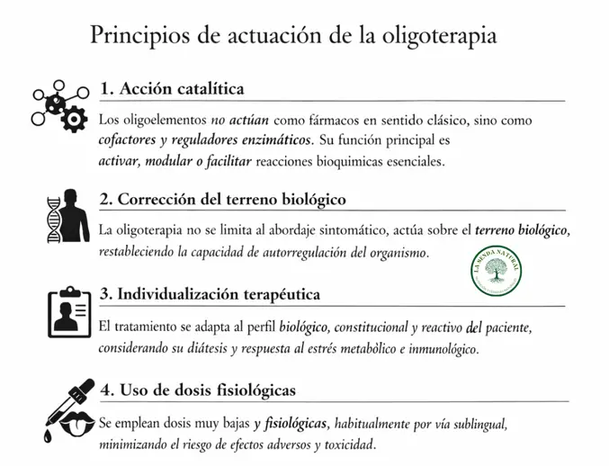 Principios de la oligoterapia