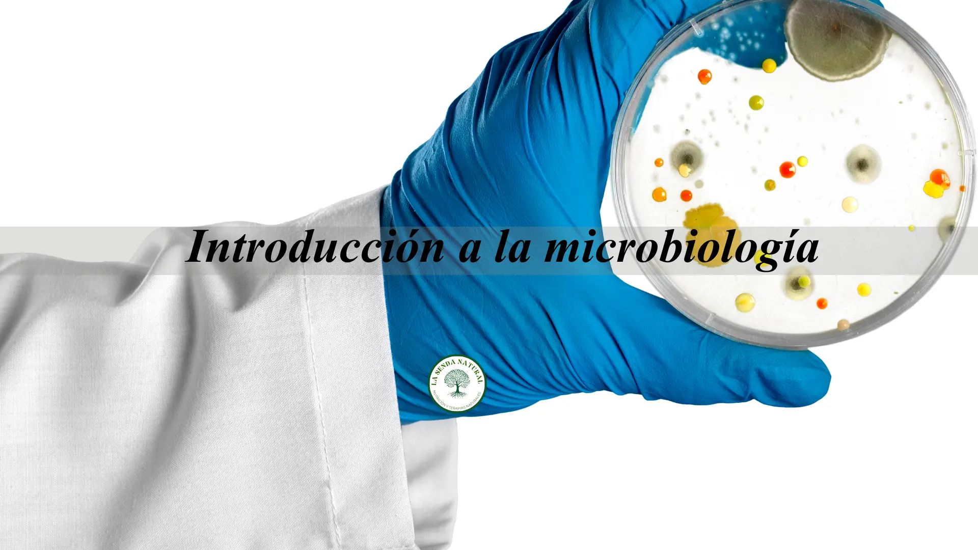 introducción a la microbiología