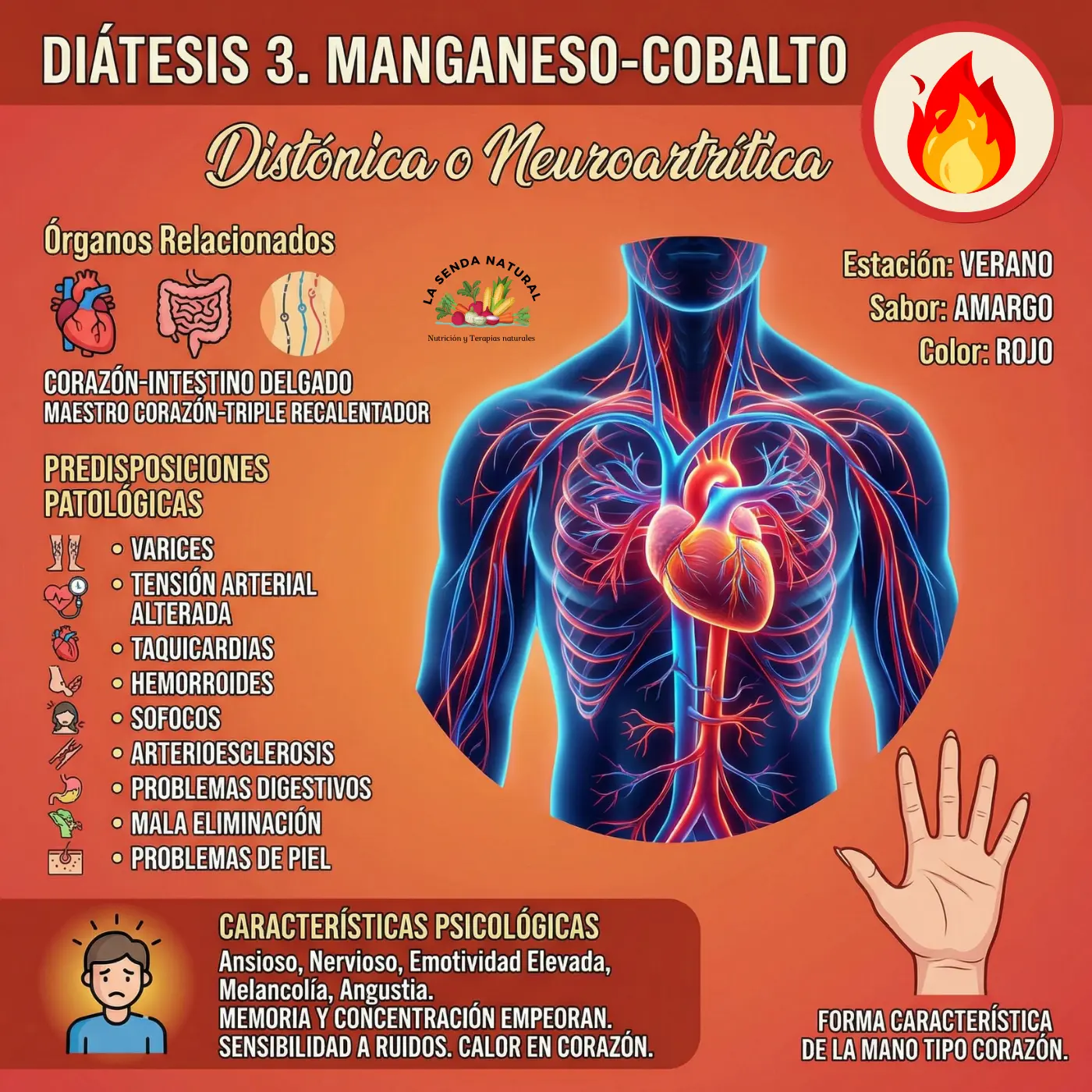 diátesis 3 elemento fuego