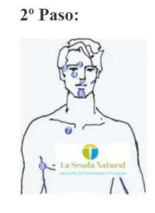 2º paso