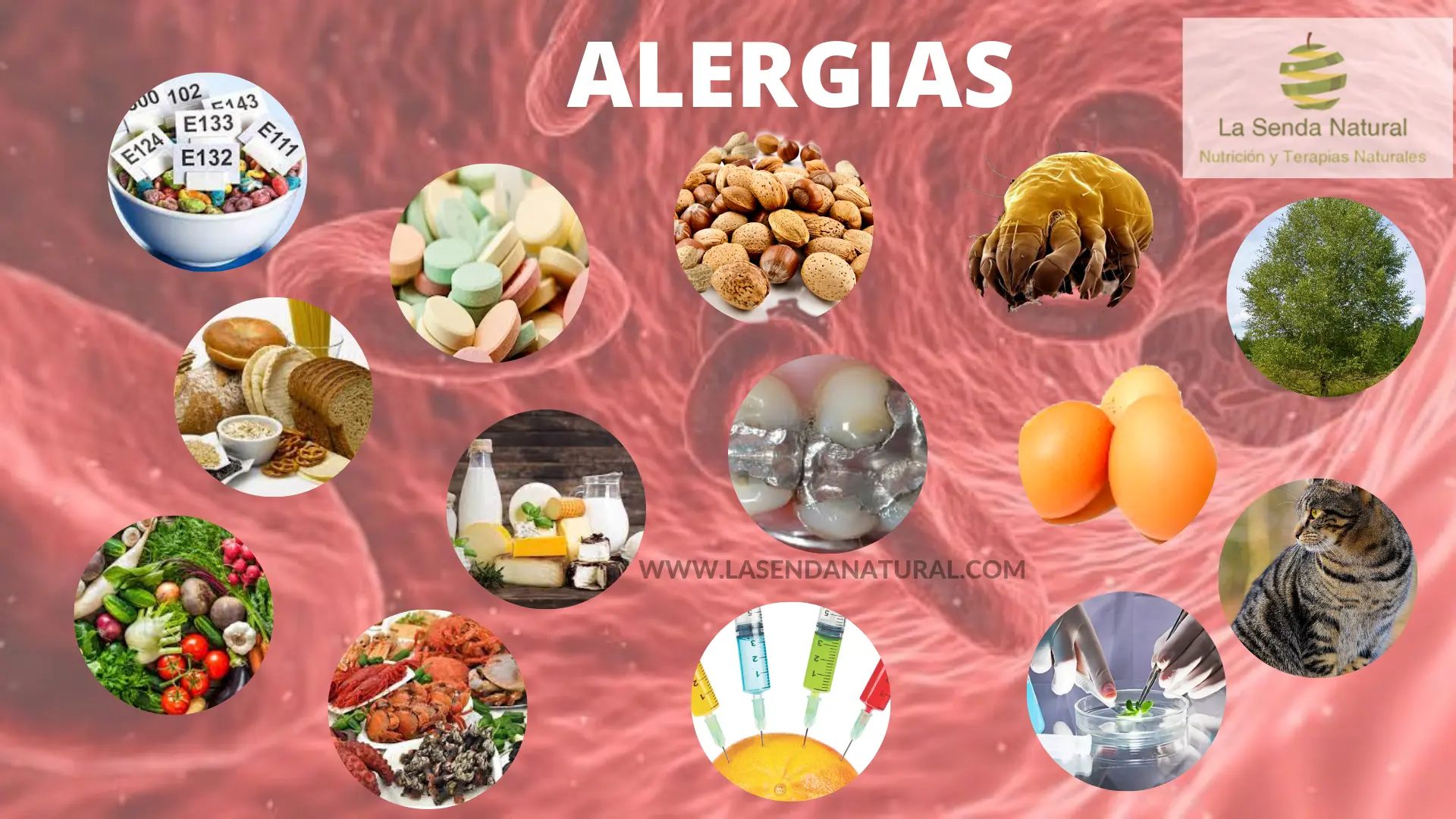 Qué son las alergias