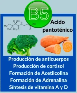 Acido Pantoténico B5