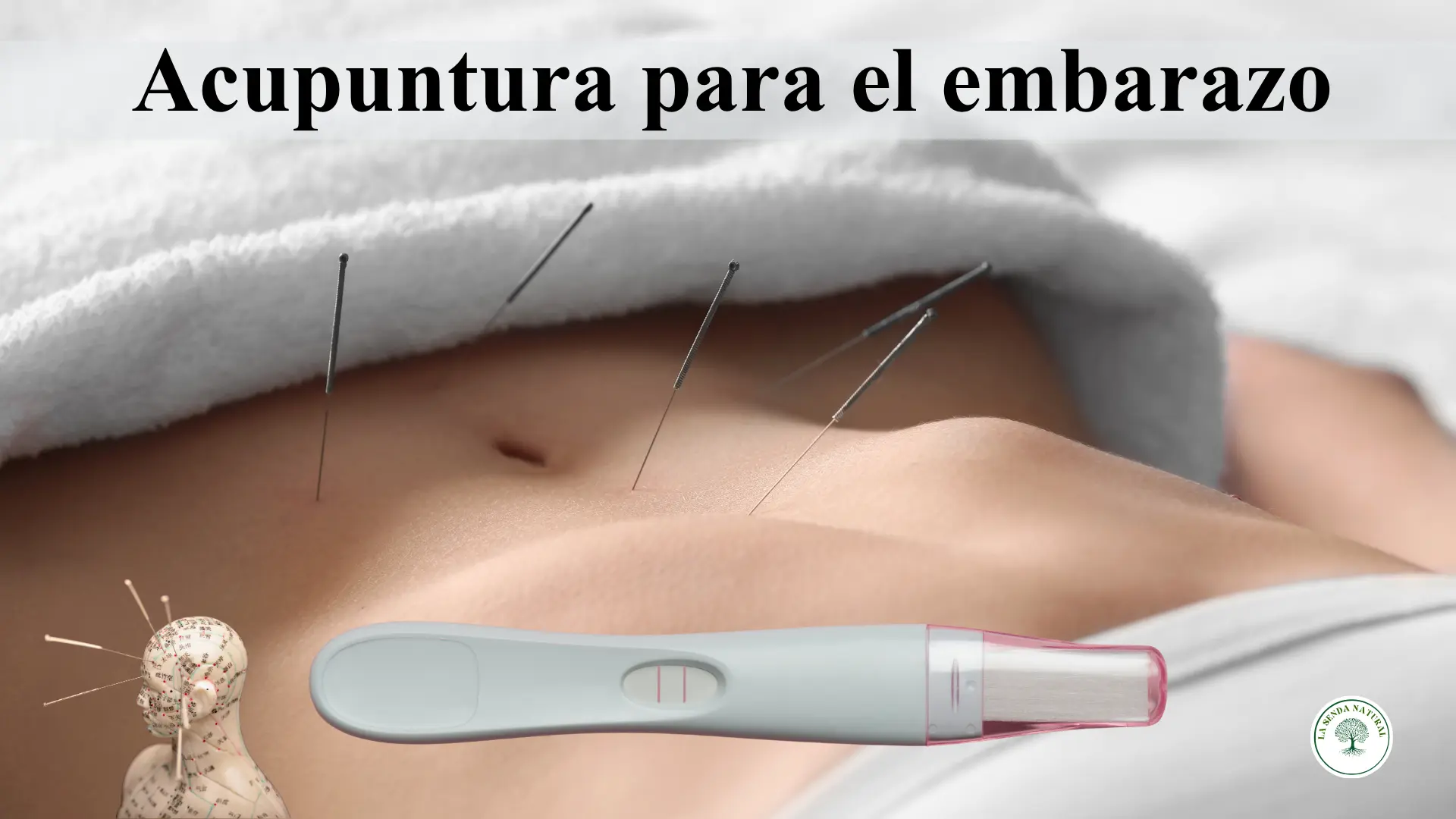 Acupuntura para el embarazo