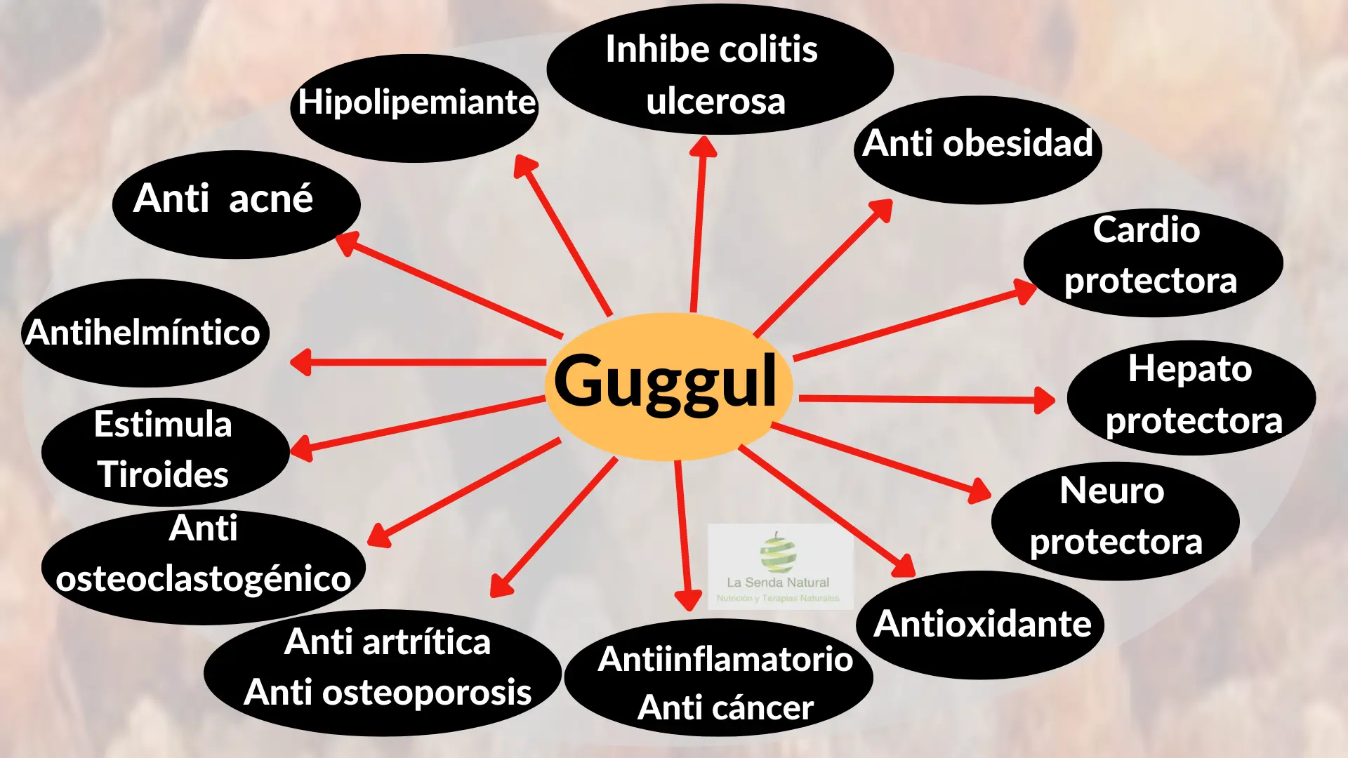 Beneficios terapeúticos del Guggul