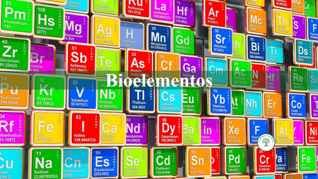 Bioelementos