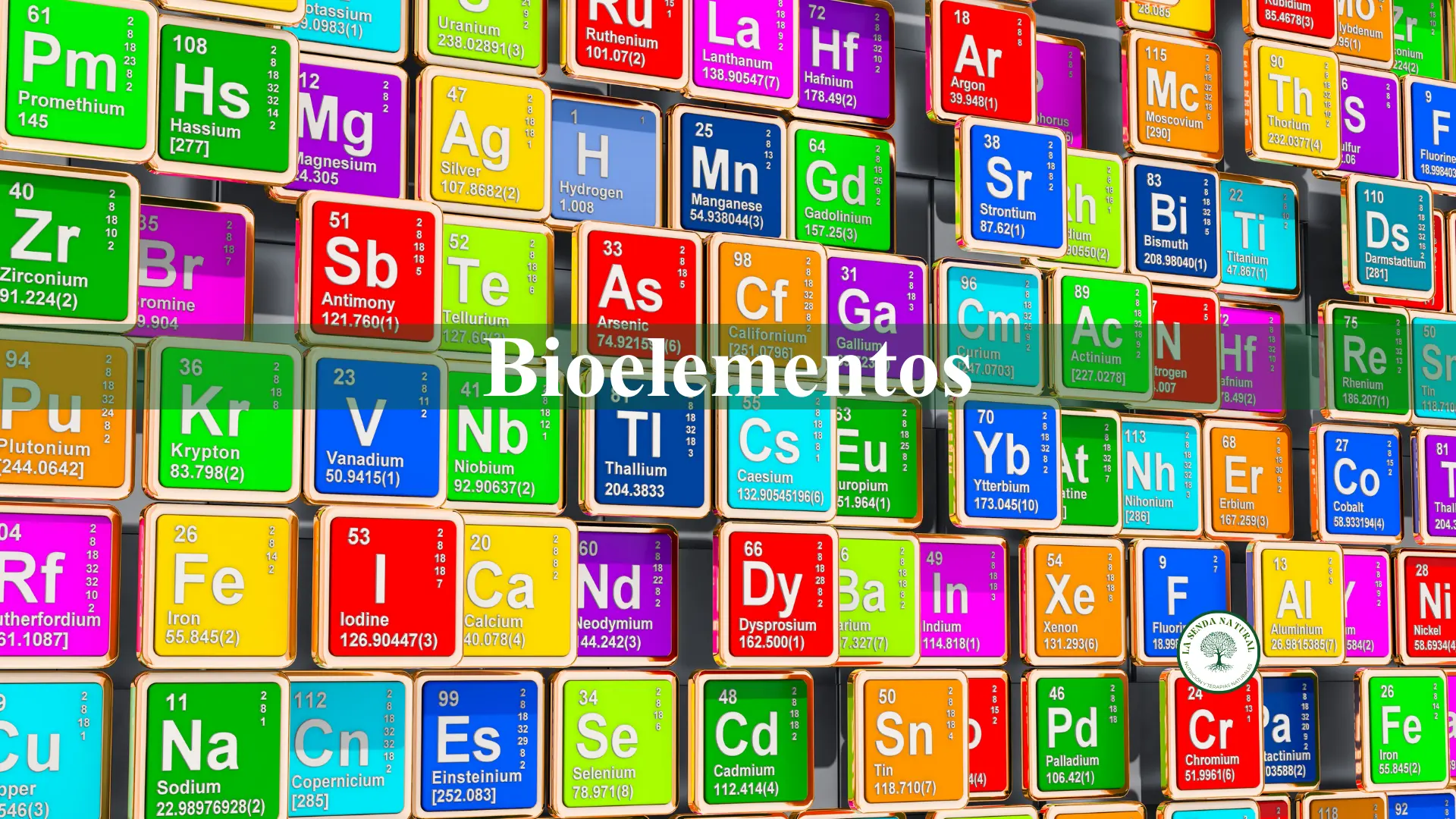Bioelementos