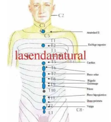 dermalgias centrales
