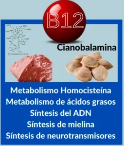 Cobalamina B12