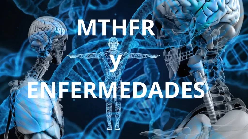 Enfermedades y MTHFR