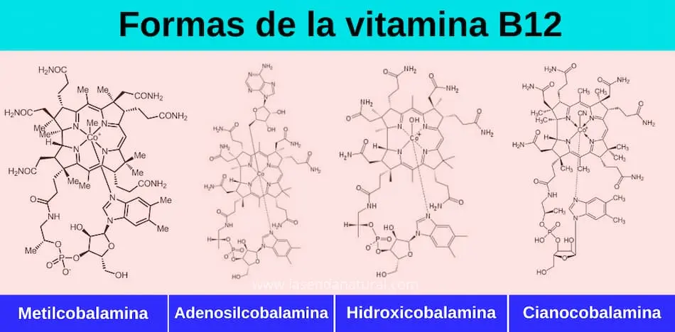 Formas de vitamina B12