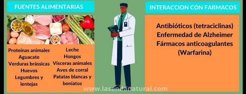 Fuentes de Acido pantoténico (B5)