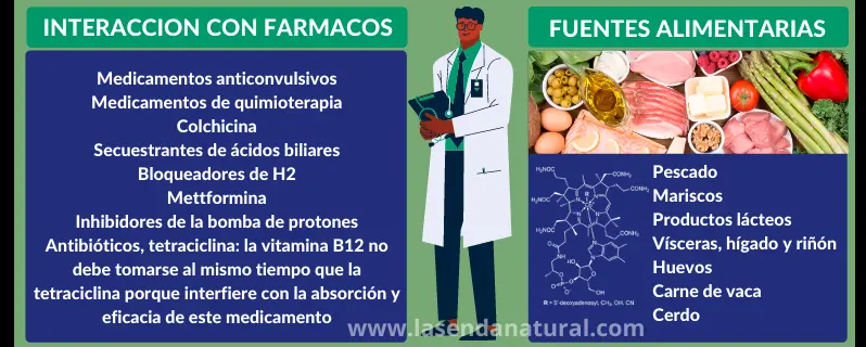 Fuentes de Cobalamina (B12)