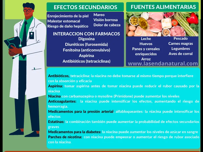 Fuentes de Niacina (B3)
