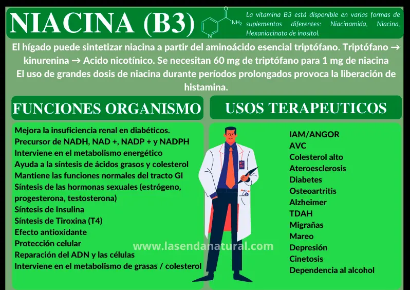 Funciones de la niacina