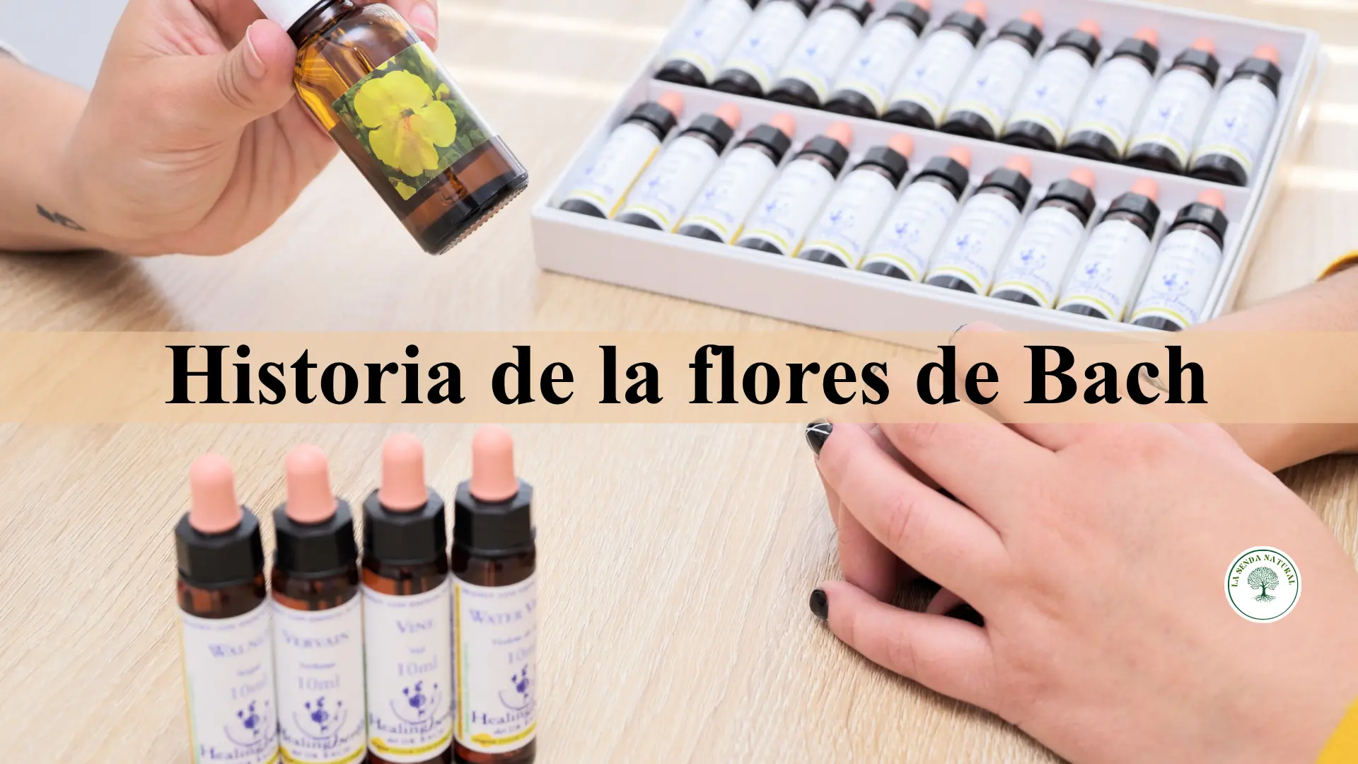 Historia de la flores de Bach