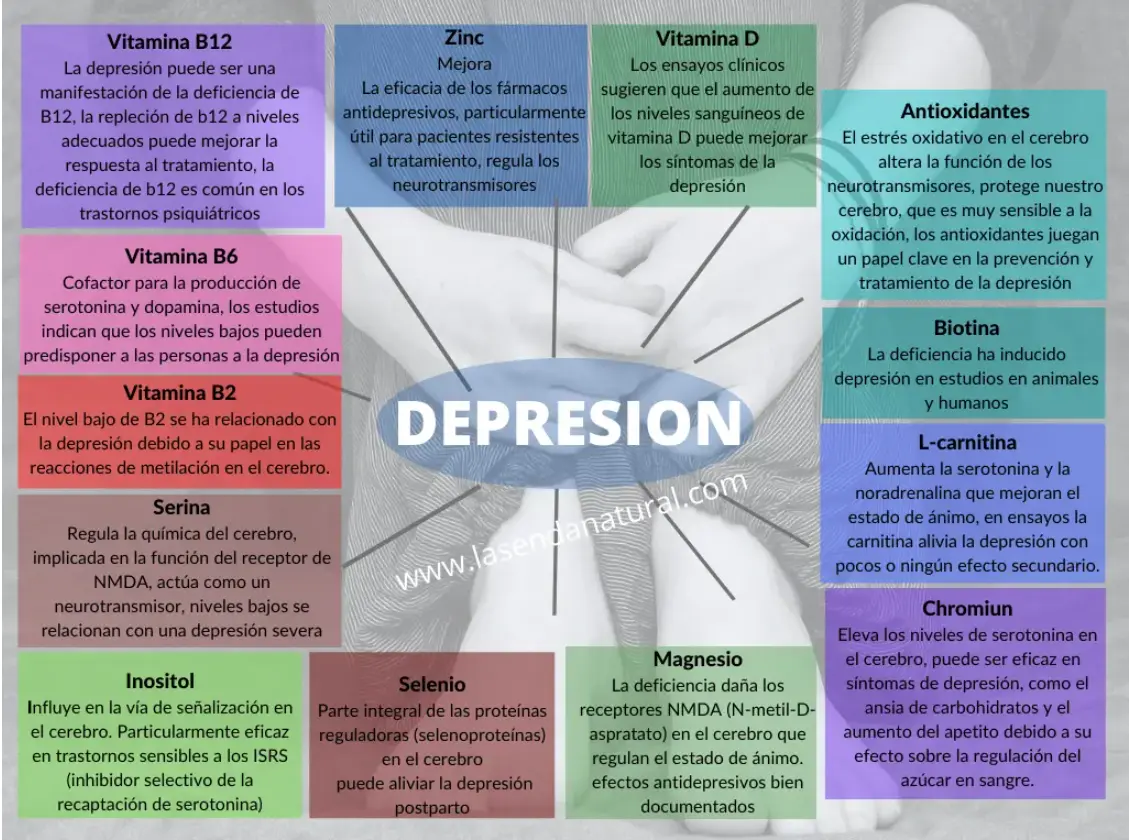 Nutrientes que se encuentran en déficit en situaciones de depresión
