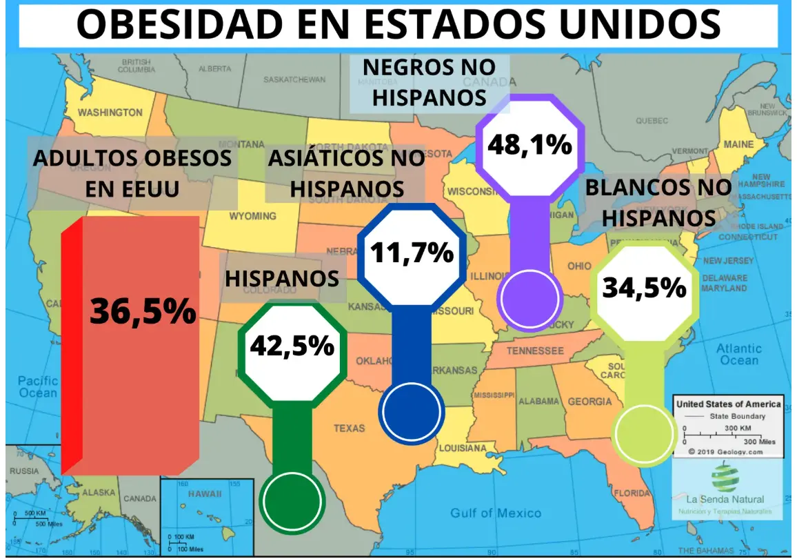 OBESIDAD EN ESTADOS UNIDOS