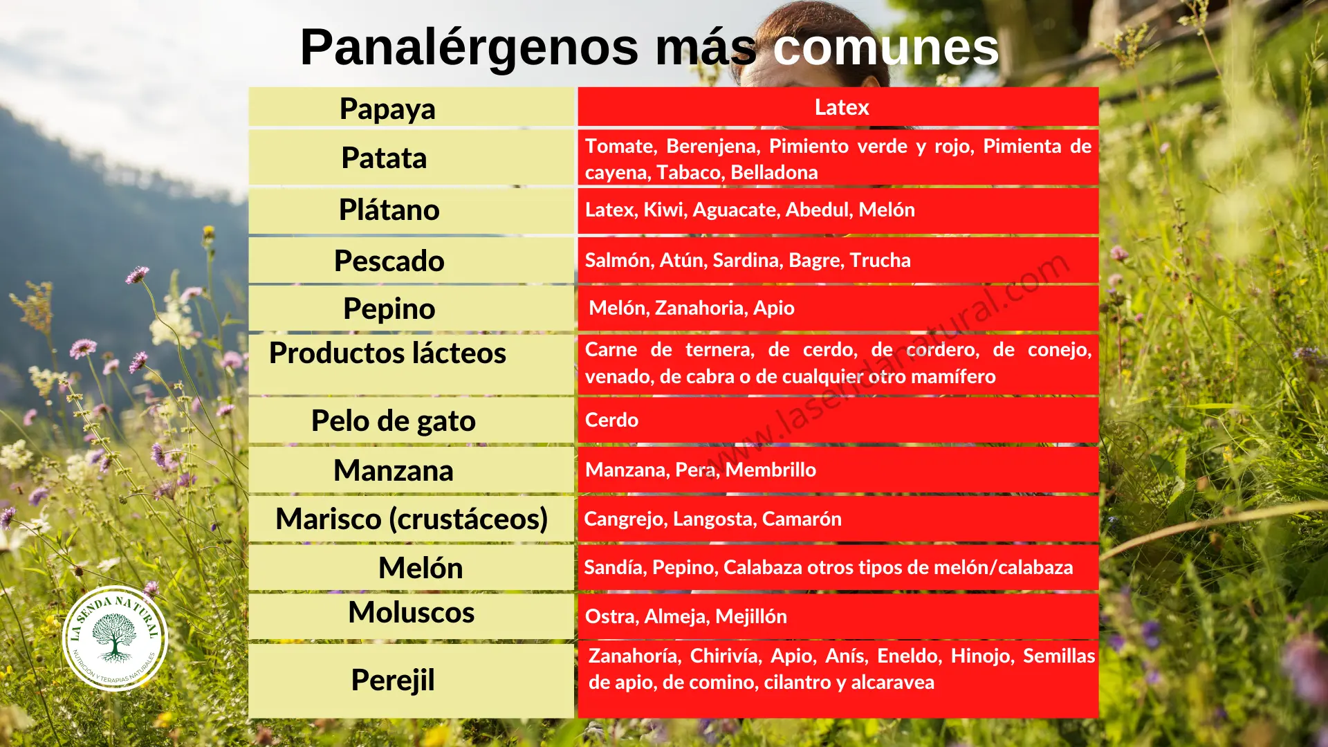 Panalérgenos más comunes
