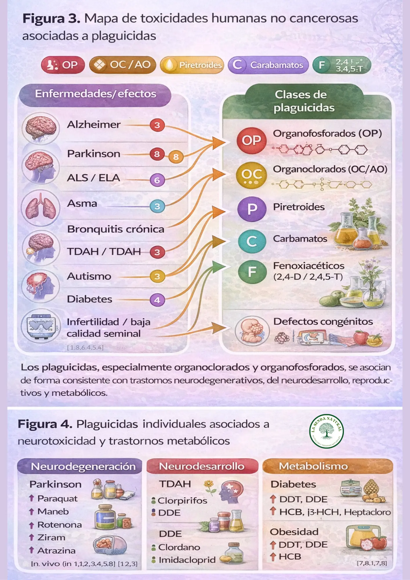 Plaguicidas y enfermedades no cancerosas asociadas