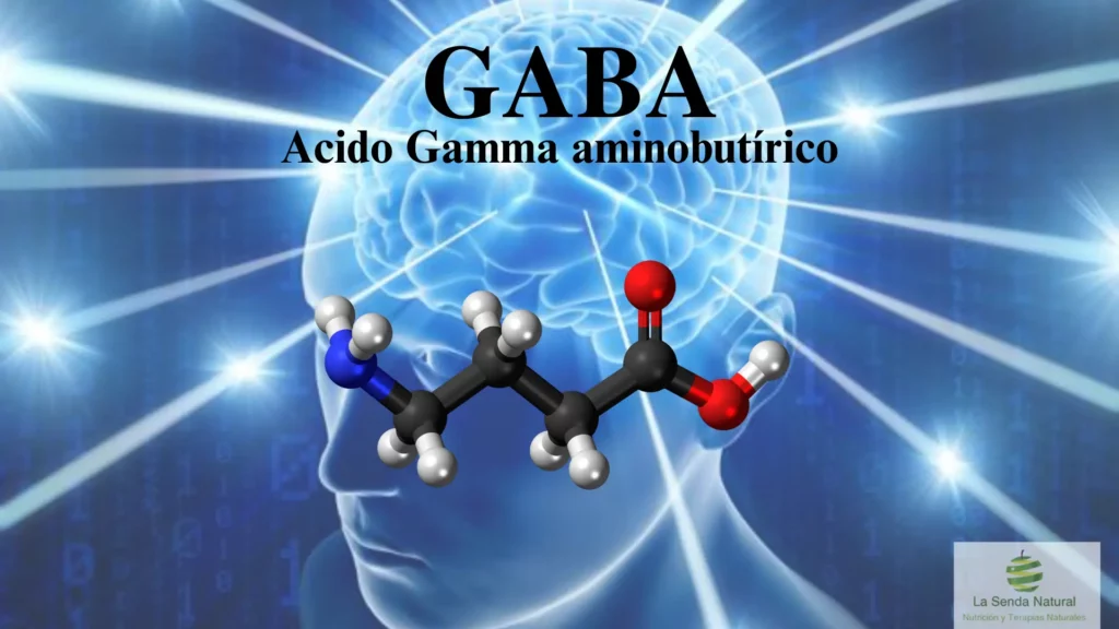 Qué es el GABA