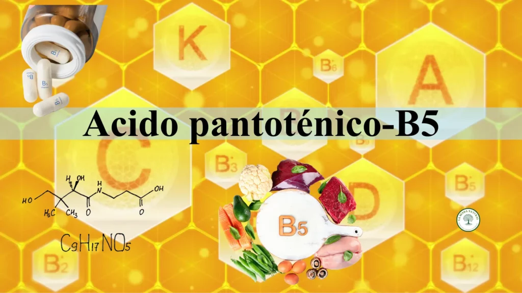 Qué es el ácido pantoténico